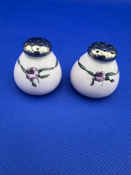 Vintage Hand-Painted Floral Salt and Pepper Shakers with Silver Top
